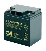CSB BATTERY OF AMERICA EVX12300