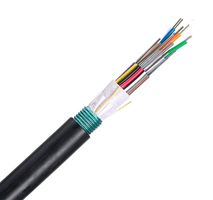 PANDUIT FSWN912 Fiber Optic Cable, OS2 Singlemode, 9µm / 125µm, 12 Fibres, 11.8 mm, 1 ft, 304.8 mm