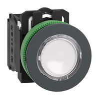 SCHNEIDER ELECTRIC XB5FW31M5