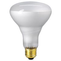 EIKO 65BR30/FL-130V