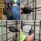 KLEIN TOOLS M200ST