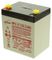 ENERSYS NP5-12