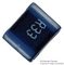 BOURNS CW252016-R33J