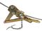 KLEIN TOOLS 16845CAT