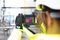 FLIR FLIR CX5