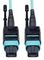 EATON TRIPP LITE N844-10M-12-P