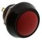 E-SWITCH PV5S24019
