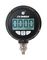 OMEGA DPG509-P300G25NBCB