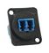 SWITCHCRAFT/CONXALL EHLC2
