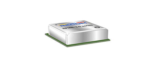 RPM Series DC/DC Converters