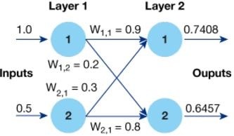 Signal Through a Neural Network