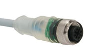 M12 Eurofast Cordsets With LEDs